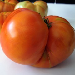 4 Kg de Tomate ecológico-ESTAMOS EN TEMPORADA