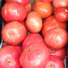Tomate rosa del Bierzo 3 Kg. FIN DE TEMPORADA