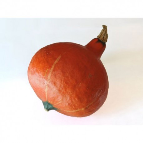 Calabaza Potimarron Ecológica. Pieza de 1,2 Kg aprox.