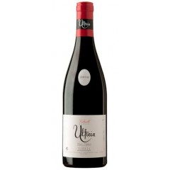 Vino Ultreia de Valtuille