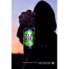 Cerveza Old Skull - Pale Ale. Caja 12 unidades 33cl. 5% alc.vol. - Productos del Bierzo