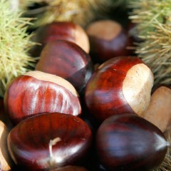 Castañas del Bierzo categoría primera 5kg-CALIBRE 80-90-FIN DE TEMPORADA
