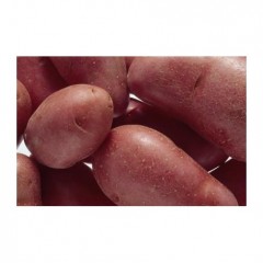 Patata Roja 5 kg-Variedad Gallega.NUEVA