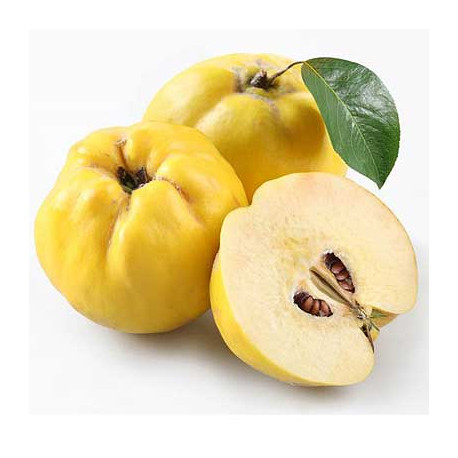 MEMBRILLO CAJA DE 5 KG